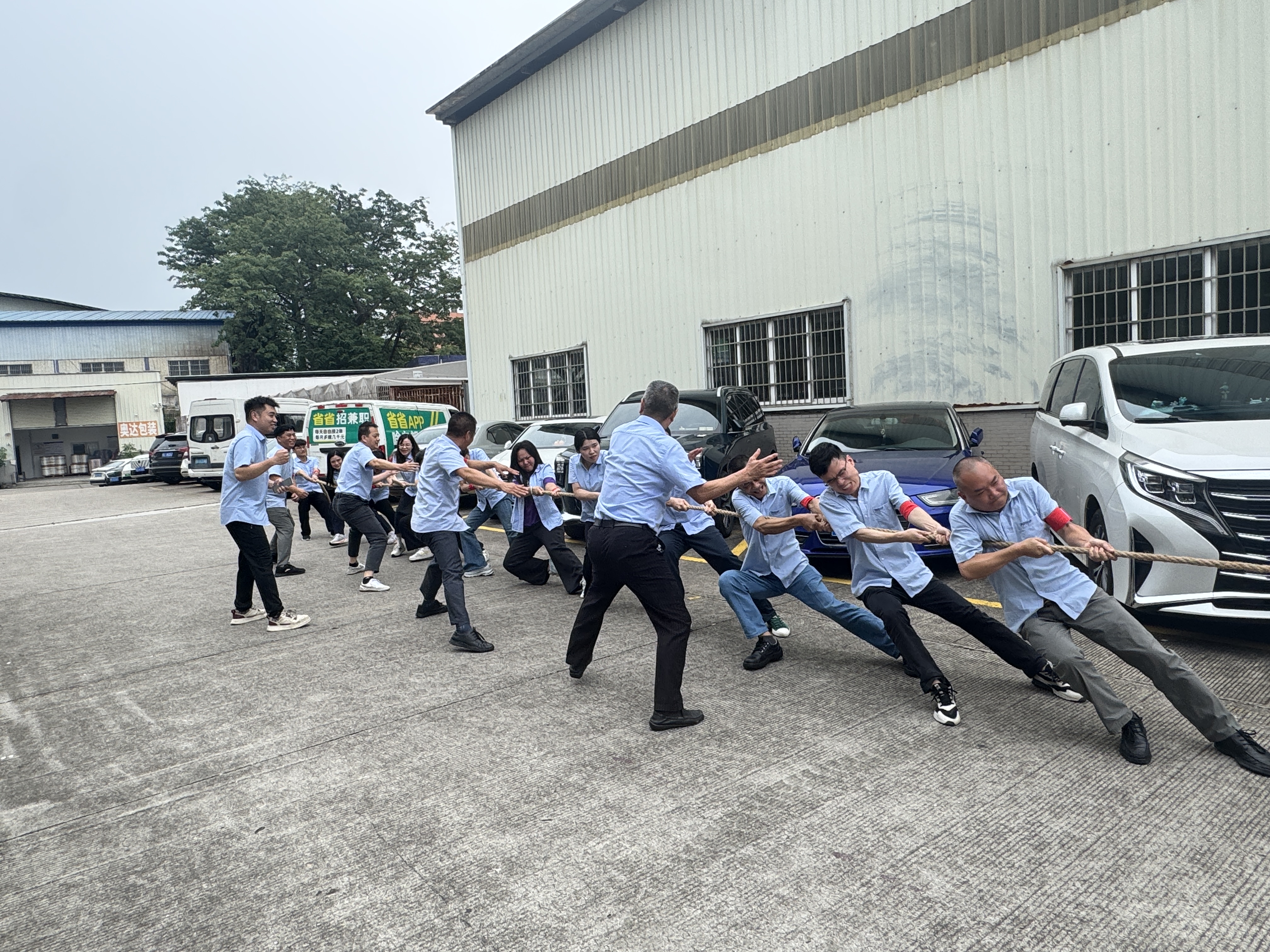 拔河3.jpg